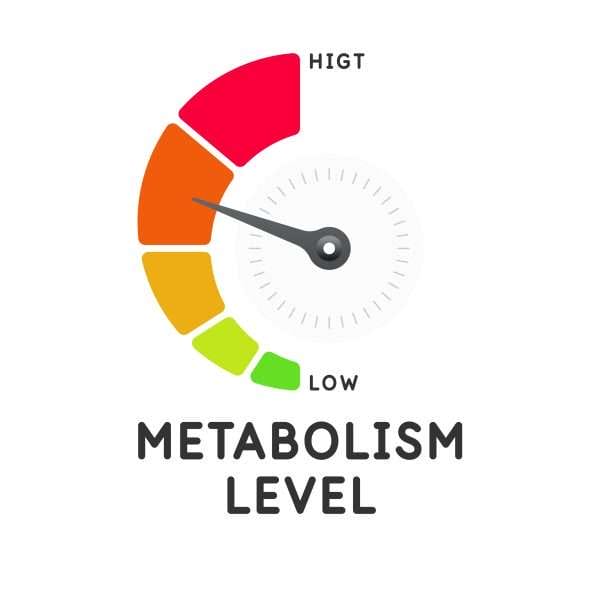 Test metabolismo